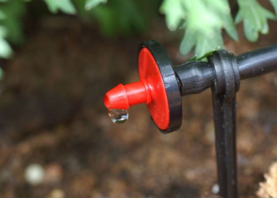 Apuesta Sedea a tecnificación de campo