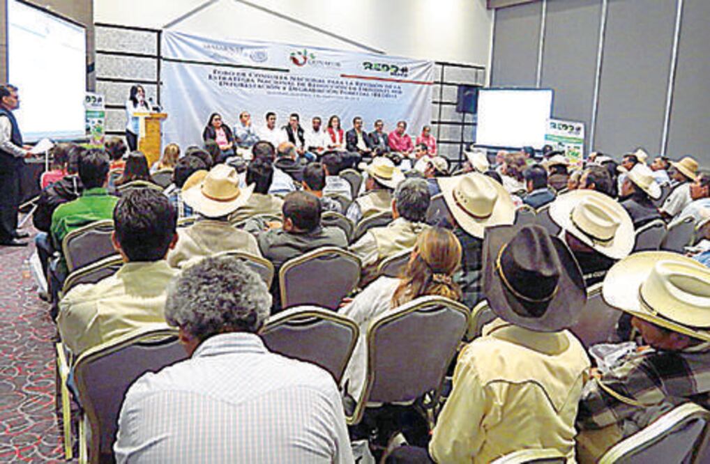 Especialistas discuten cómo reducir efecto invernadero