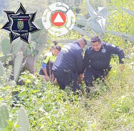 Mujer resulta lesionada tras caída en Pinal de Amoles