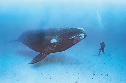  Anuncian el Photofest 2015