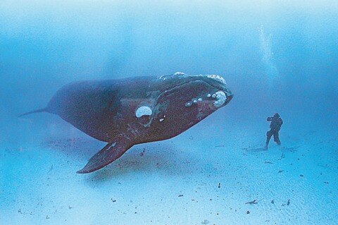 Anuncian el Photofest 2015