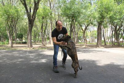 Su amor por los perros lo lleva a enseñar