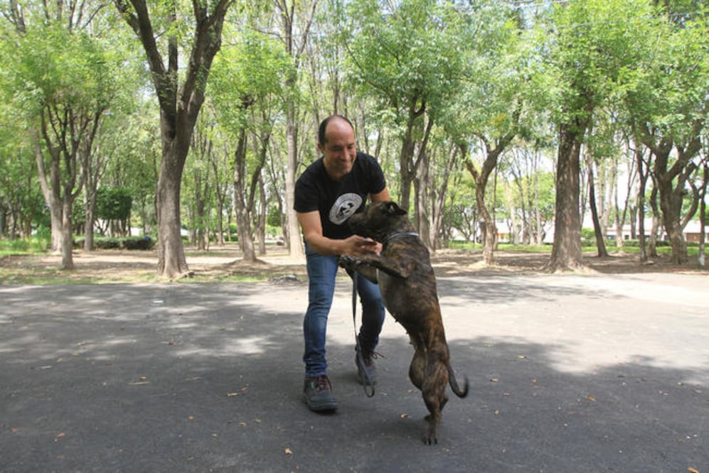 Además de entrenar perros en el parque, Lenin ayuda para que las familias puedan adoptar una mascota. (Foto: LUIS SÁNCHEZ)