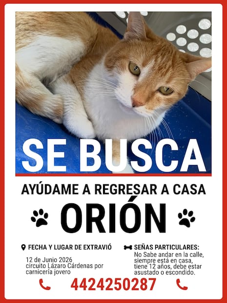 FOTO. TOMADA DE FACEBOOK