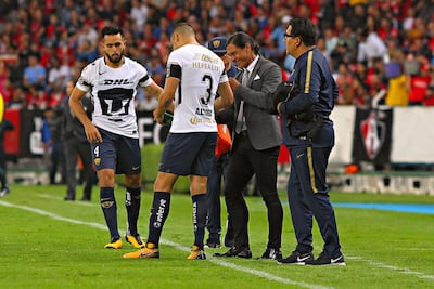 Bofetada a los pumas