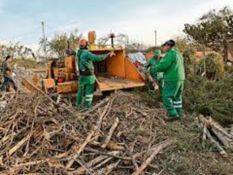 10 años  para regeneración del Tángano
