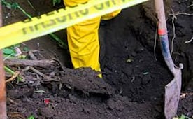 Encuentran restos de seis personas en fosa clandestina en León