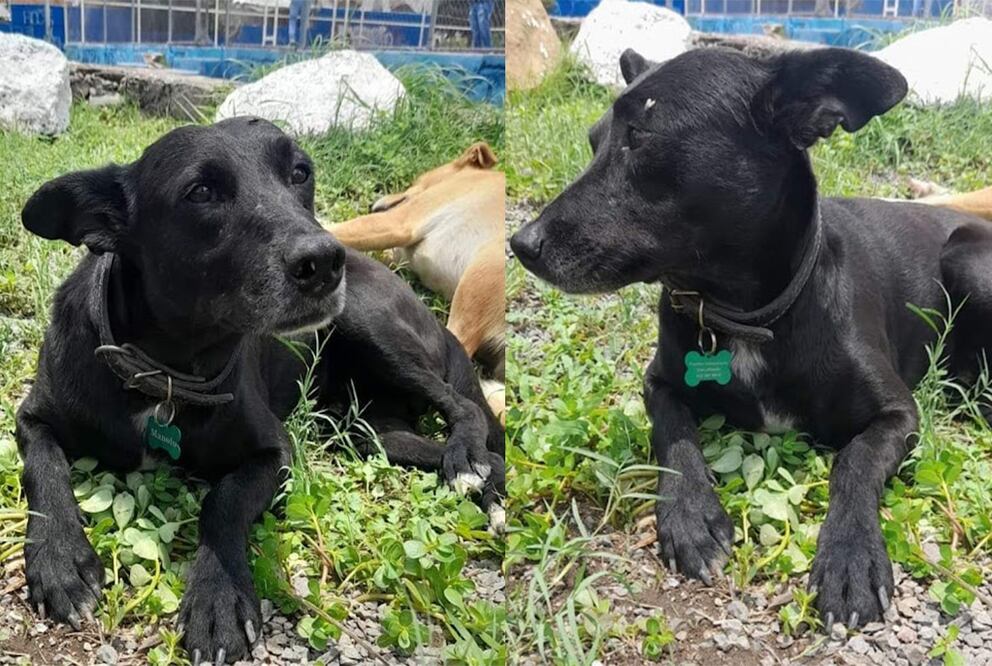 Foto: Tomada de Facebook