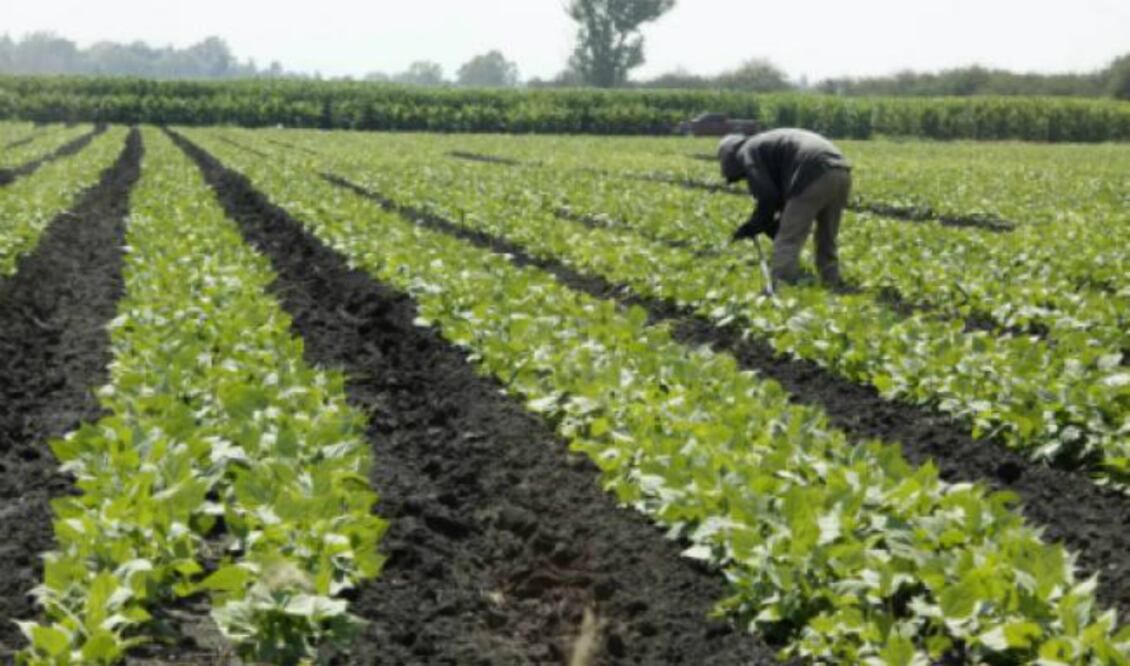 FOTO: Archivo El Unviersal