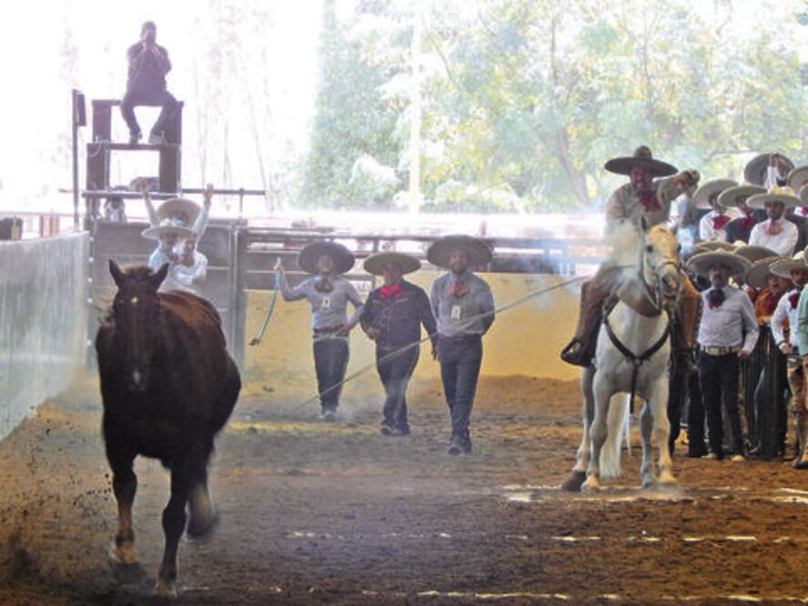 Habrá segundo ‘Torneo del Millón’