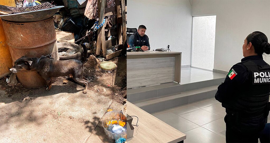 Foto: Facebook CAAM El Marqués