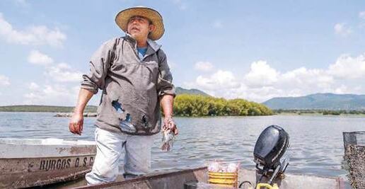 Santa Catarina, presa que vale oro para pescadores