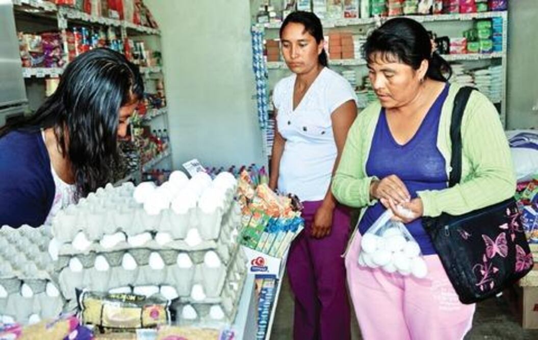 Políticas favorecen a las microempresas