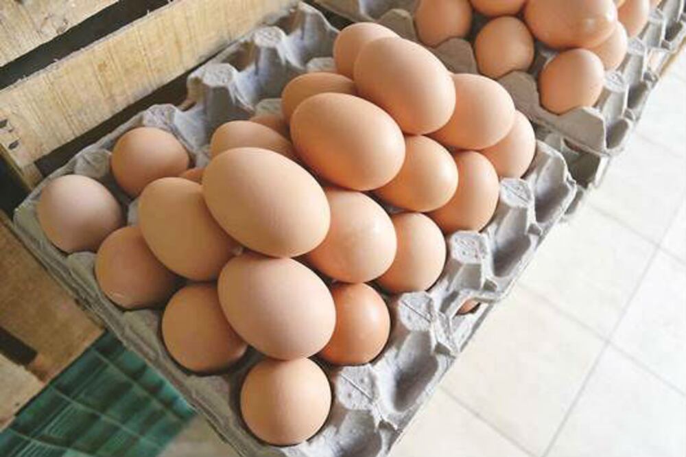 Inaceptable el alza en el precio del huevo