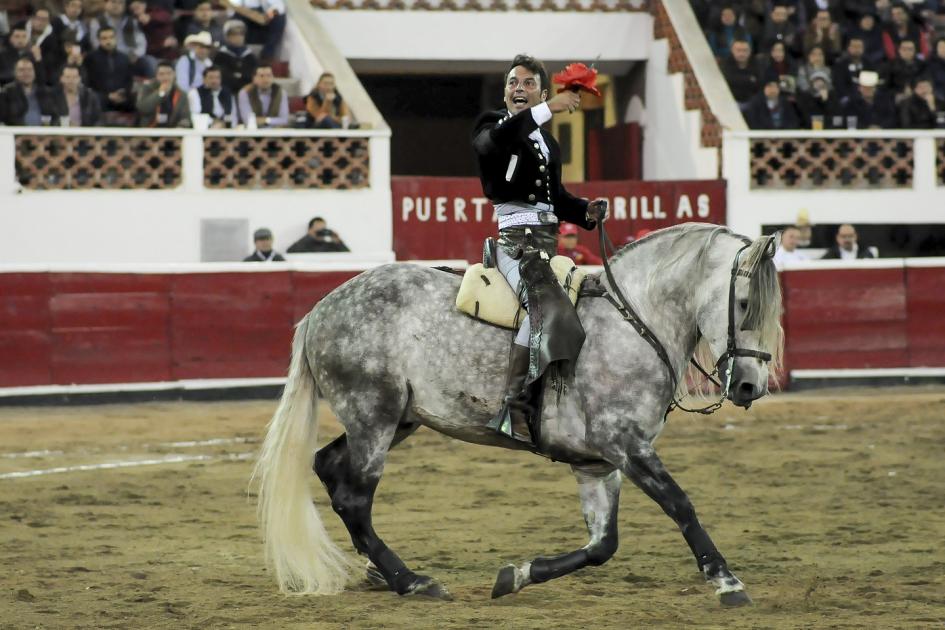 Andy Cartagena lastimó al novillo que salió con él, el rejón de muerte lo incapacitó de los cuartos traseros