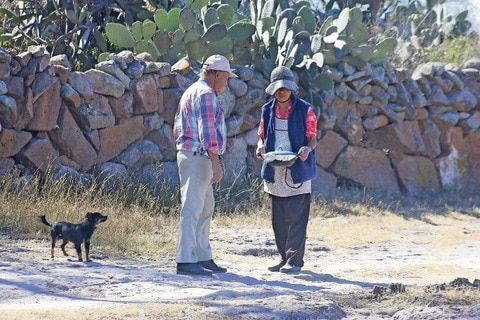 Requiere SJR centros de salud