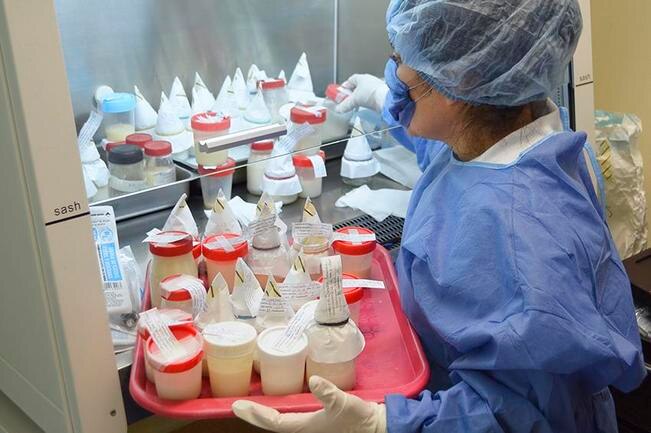 Ssa destaca el valor de la leche materna y su donación