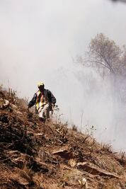 Advierte Profepa sobre  incendios forestales
