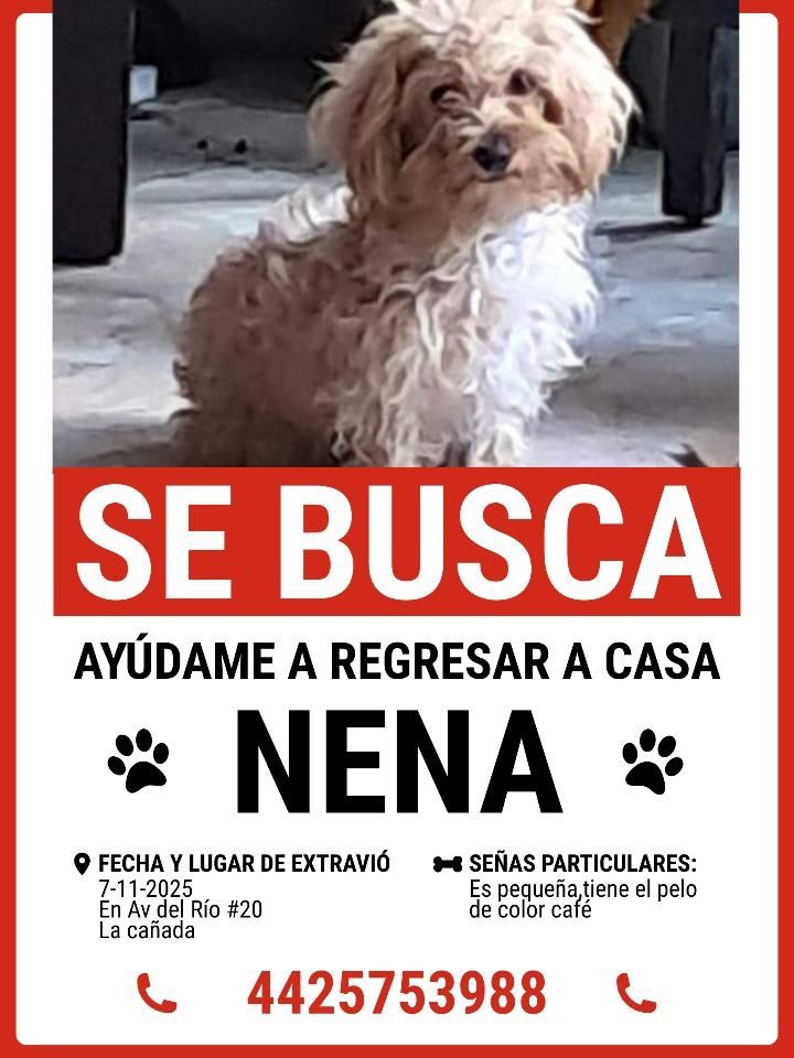 FOTO. TOMADA DE FACEBOOK