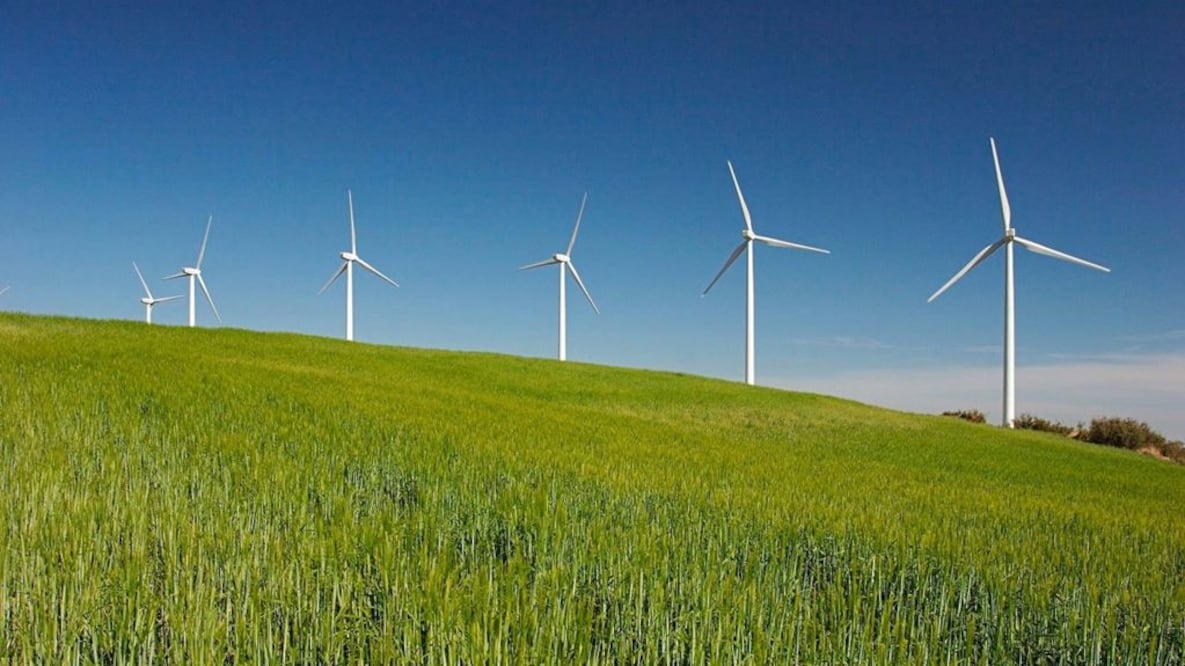 Foto: Archivo El Universal