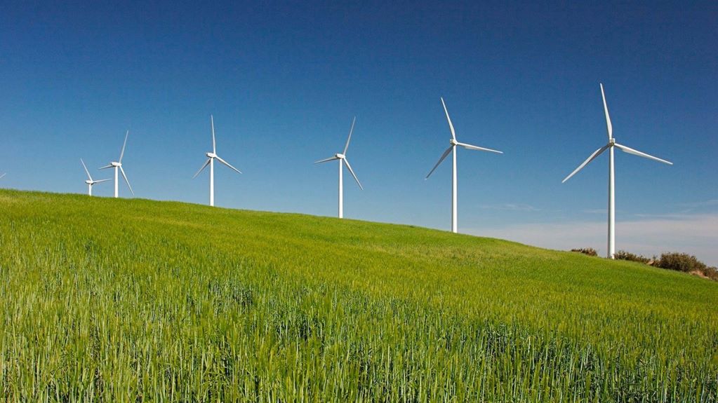 Sólo 10% de la energía utilizada en Querétaro es de fuentes renovables