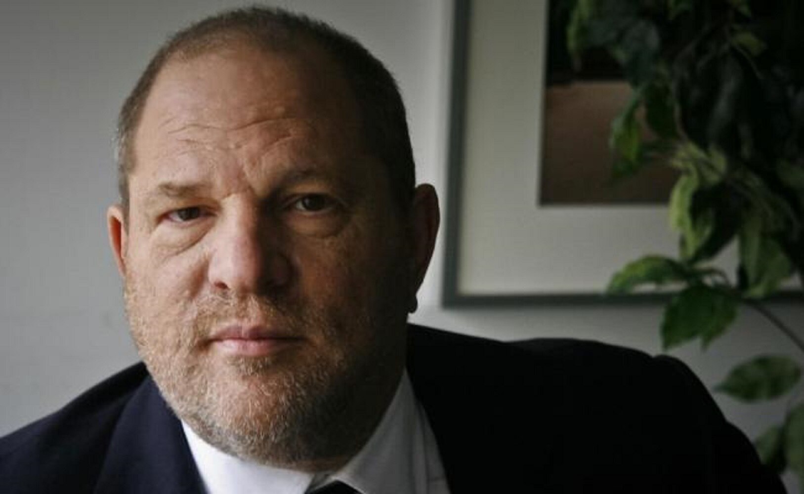 Academia británica expulsa a Harvey Weinstein