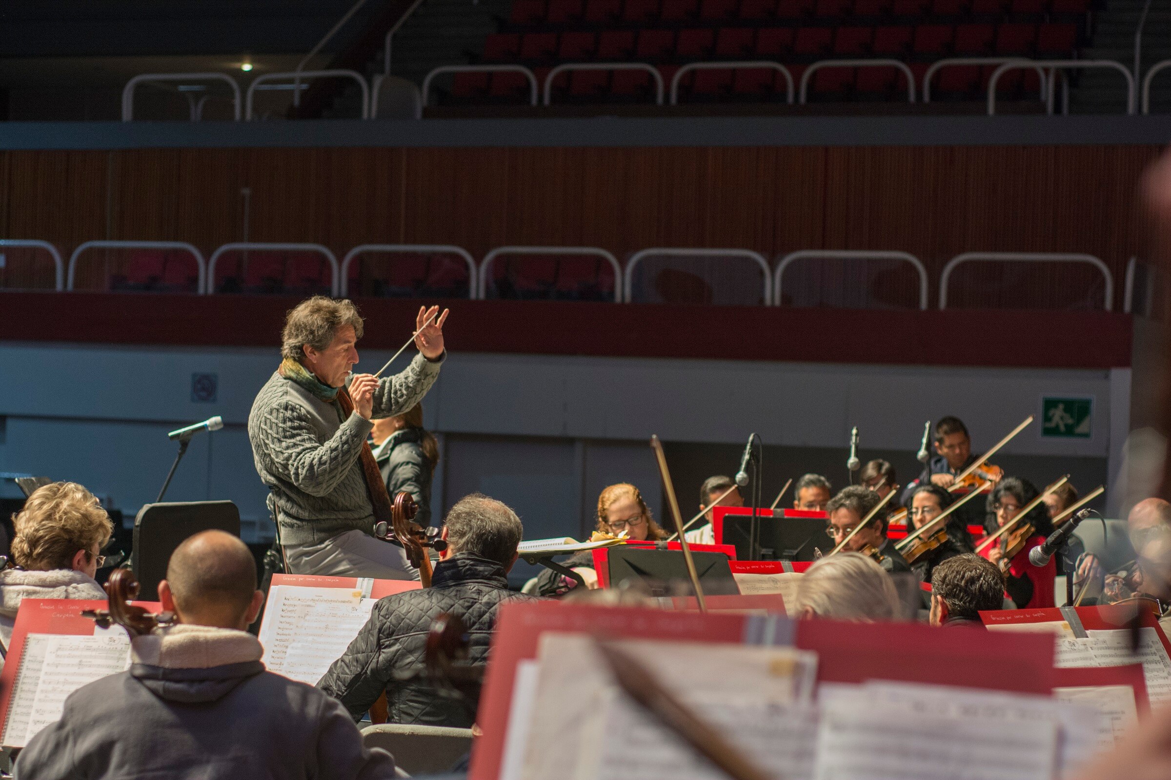 Las personas que saben tocar instrumentos musicales o aprenden idiomas tienen una mejor actividad cerebral