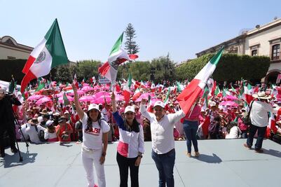 Marea Rosa muestra su respaldo al PRI, PAN y PRD