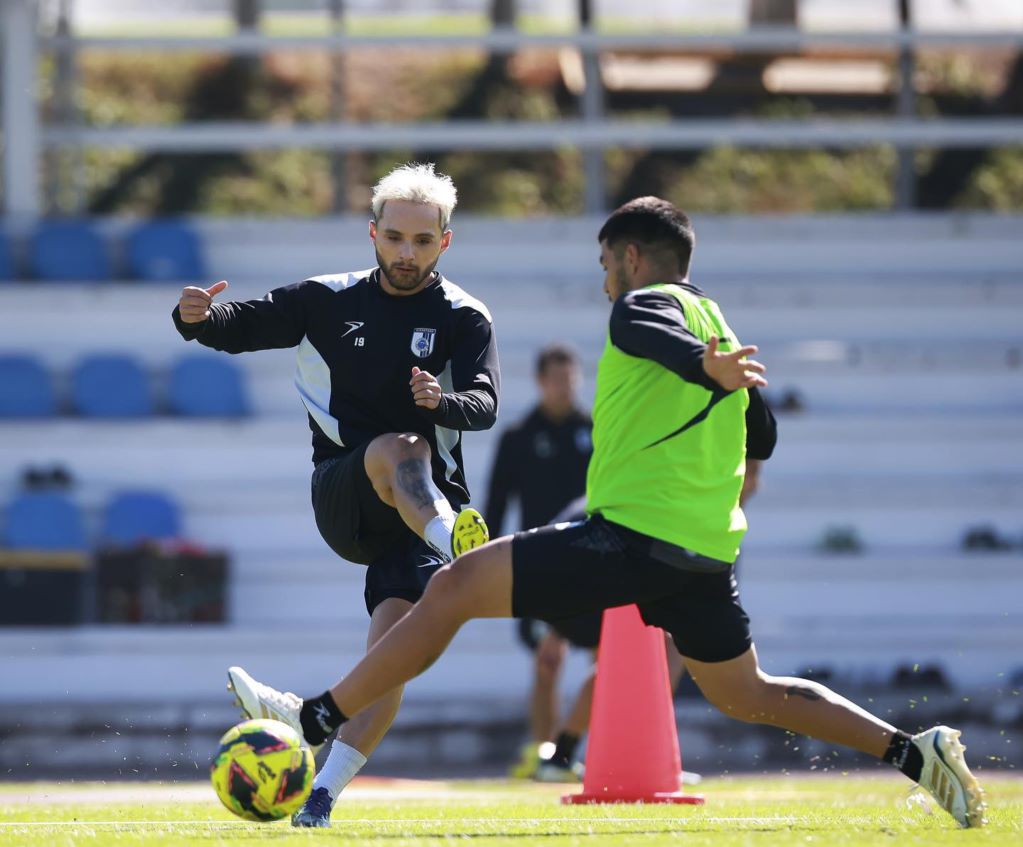 Gallos, a hacer valer su territorio