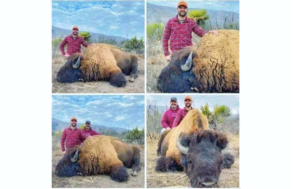Indigna en redes imágenes de la caza de un bisonte americano en Coahuila