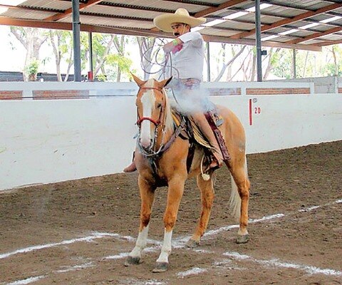 Rancho Las Cuatas, líder en el Nacional Charro