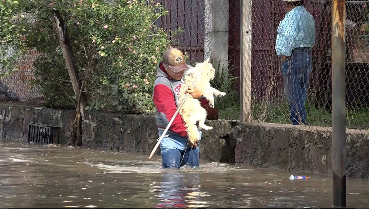 La Rueda, la comunidad sanjuanense hundida en el agua y víctima de la rapiña 