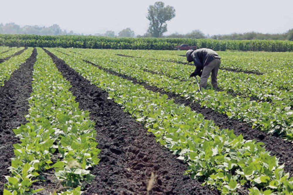 “Sagarpa debe apoyar a entidad”