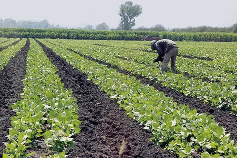 “Sagarpa debe apoyar a entidad”