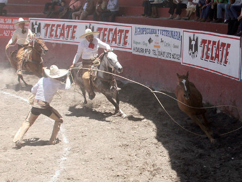 Ganadera Santa Isabel toma la delantera