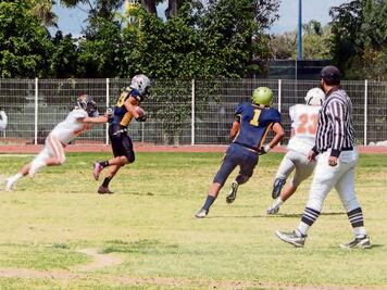 Gatos Salvajes, en problemas