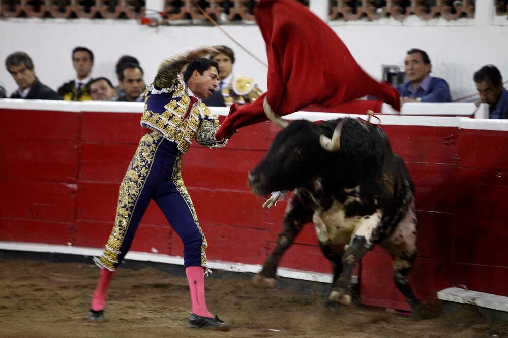 Foto: Guillermo González