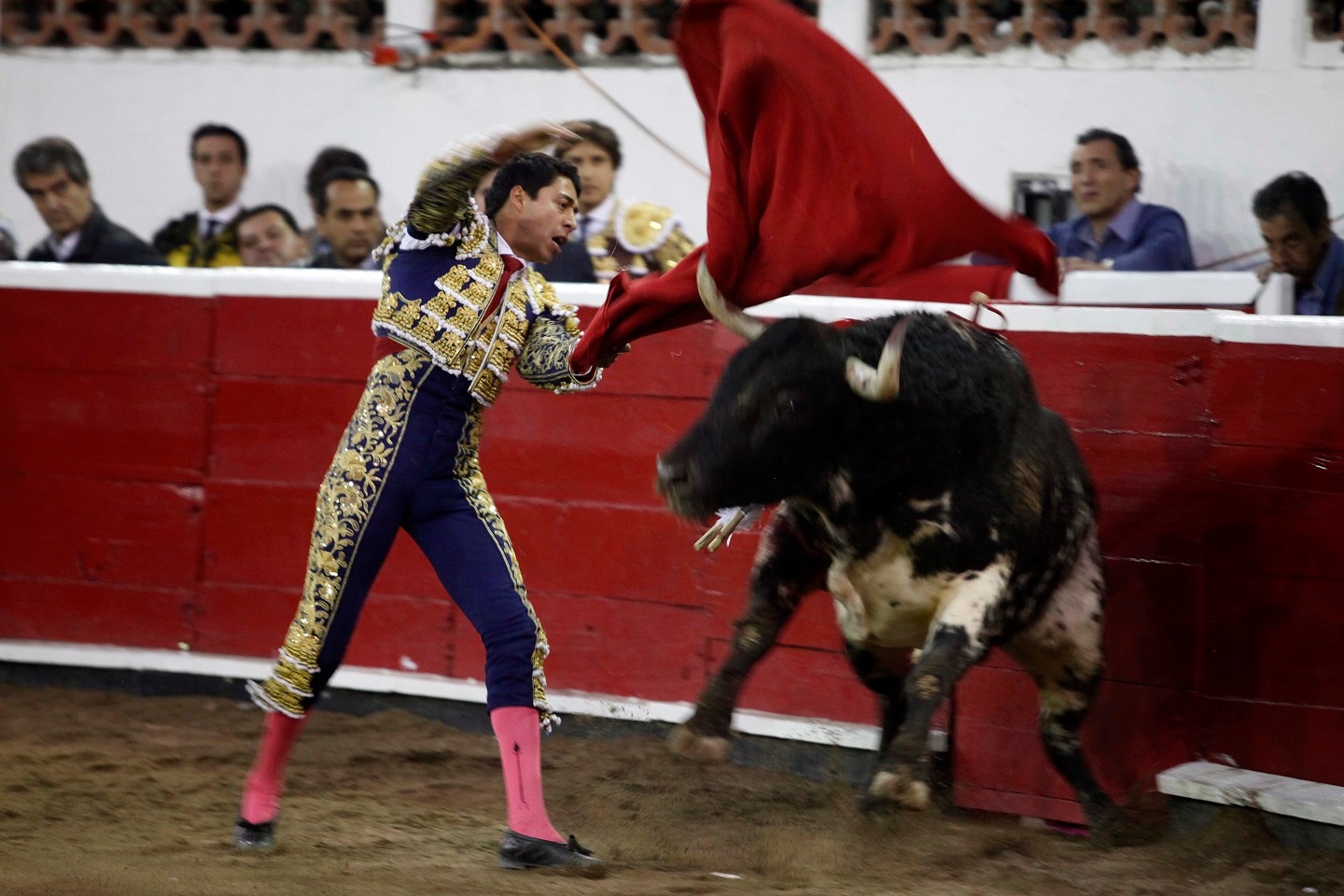 Foto: Guillermo González