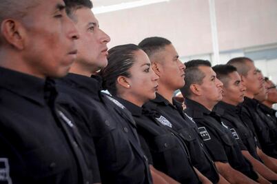 En 2019, no crecerá el fondo para seguridad