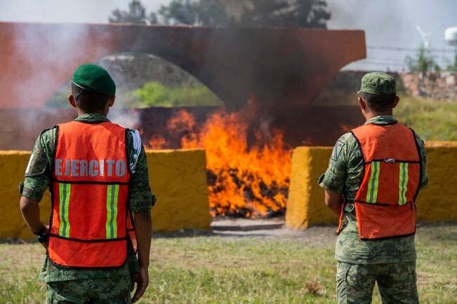 Sedena y FGR incineran 100 kilos de narcóticos