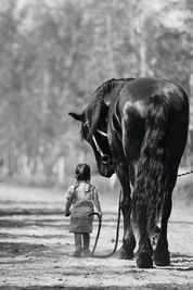 #Cuento| Pájaros negros III