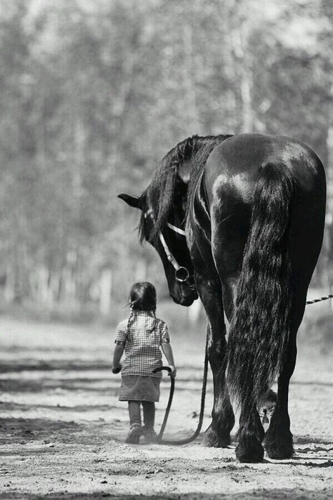 #Cuento| Pájaros negros III