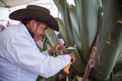 Inauguran PulQuerétaro Fest 2023 en El Marqués