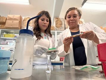 Mujeres investigadoras trabajan en turbosina renovable; proyecto se desarrolla en la UAQ