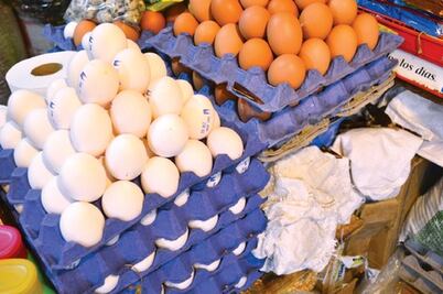 Garantizan abasto de huevo con nuevas granjas