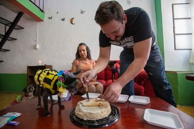 Fiesta canina, momento de agradecer la lealtad