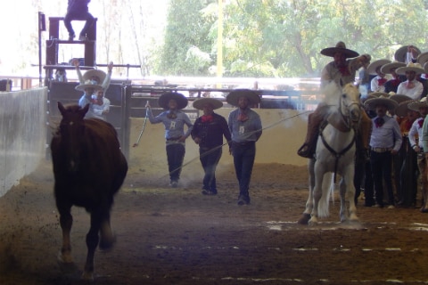 Rancho El Pitayo vive su fiesta