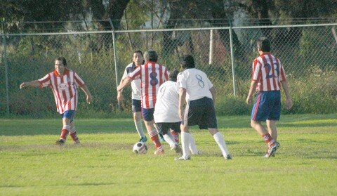 Gallos veteranos verán acción en la Liga 