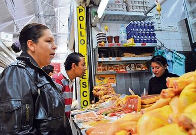 Vacunarán a 2 millones de gallinas