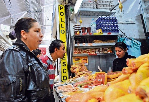 Vacunarán a 2 millones de gallinas